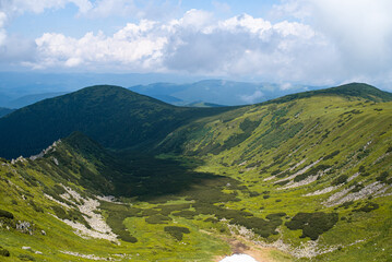 Fototapeta na wymiar Alpine meadow landscape in summer