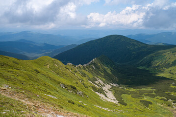 Alpine meadow landscape in summer