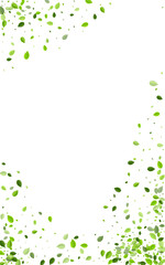 Green Greens Wind Vector White Background.