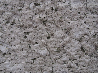 Naklejka premium 傷だらけの灰色の壁のテクスチャー