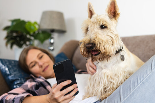 Caucasian mid adult lesbian couple using cellphone while relaxing with scottish terrier on sofa - Powered by Adobe