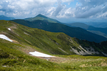 Fototapeta premium Alpine meadow landscape in summer