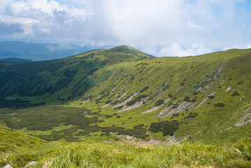 Fototapeta premium Alpine meadow landscape in summer