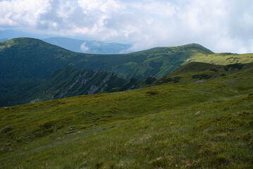 Alpine meadow landscape in summer