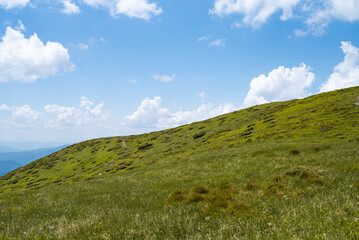 Alpine meadow landscape in summer