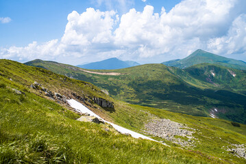 Alpine meadow landscape in summer