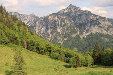 Fototapeta na wymiar Frühling in den Alpen; Niedergadenalm und Rinnkogel (Salzkammergut)