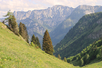 Fototapeta premium Frühling im Salzkammergut; Niedergadenalm und Gamsfeld von der Bleckwand gesehen