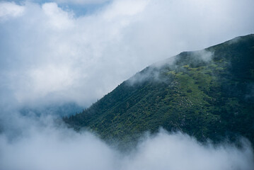 Mountain hiking. Beautiful mountain views. Coniferous forests and alpine meadows
