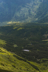 Mountain hiking. Beautiful mountain views. Coniferous forests and alpine meadows