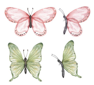 Delicate pink and green butterfly Clipart Set, Watercolor Insects illustration, Butterflies clip art, Wedding Invitation, Logo design, baby shower card