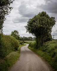 country road in the park