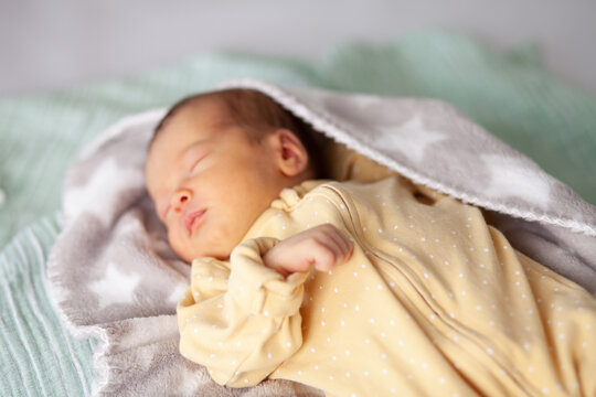 Newborn baby sleeping in a blanket. High quality photo
