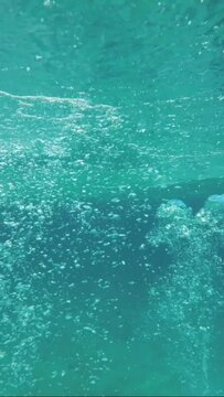 VERTICAL VIDEO: Slow motion of the air bubbles floating from sea bottom to the water surface. Air bubbles in the blue water under surface of water. Natural underwater background