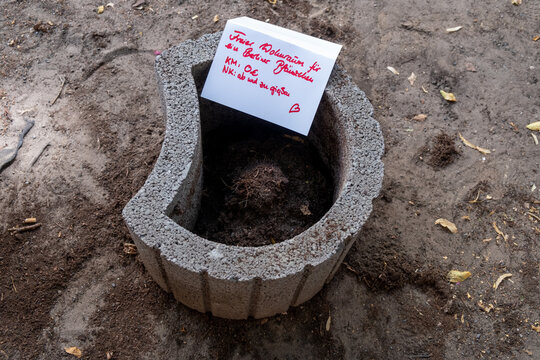 Urban Gardening