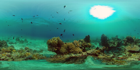 Fototapeta na wymiar Colourful tropical coral reef. Hard and soft corals, underwater landscape. Philippines. Virtual Reality 360.