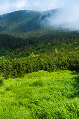 Fototapeta na wymiar Landscape with mountains and clouds. Rocks. Hiking tourist destination