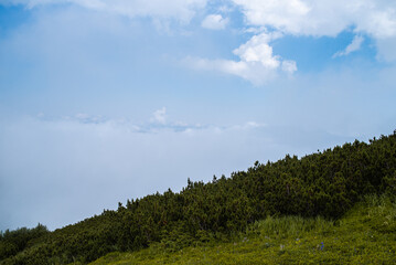 Obraz premium Mountain hiking. Beautiful mountain views. Coniferous forests and alpine meadows