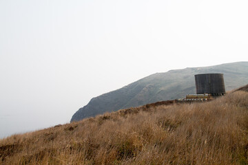 Grass, coast and wildlife