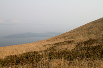 Grass, coast and wildlife