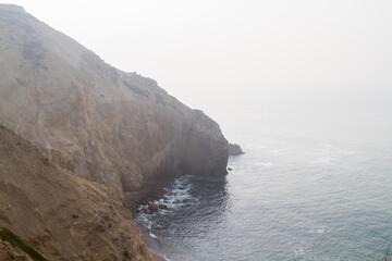 Point Reyes elephant seals