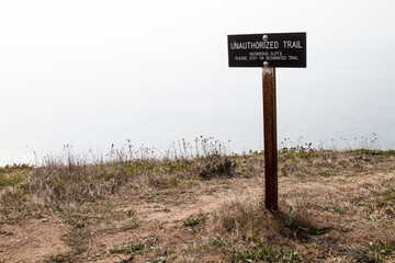 Point Reyes elephant seals