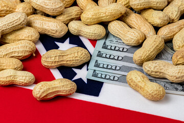 Peanuts in shell on flag of Mississippi with 100 dollar bills. Peanut farming, trade, tariffs and market price concept.