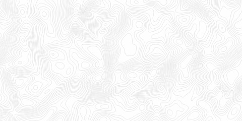 Obraz premium Topographic background and texture, monochrome image. 3D waves. Cartography Background, White wave paper curved reliefs abstract background 