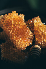 Fresh honeycombs with honey in close up view