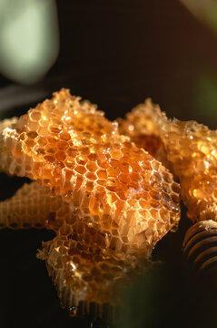 Fresh honeycombs with honey in close up view