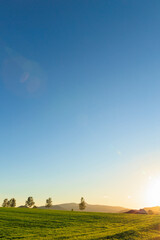 夕日に染まる北海道の草原