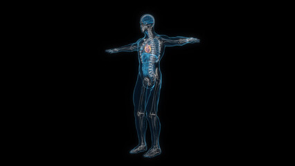 Human male body heart 3d hologram. 3D illustration