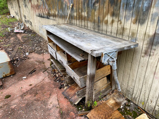 Abandoned pool found overgrown in the woods