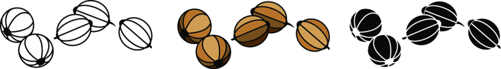 Stylized in a realistic manner image of coriander seeds. Coriander icon, vector linear illustration made on a white background.