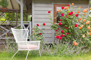 Roses and herb garden outside a country house, red ang orange roses bush