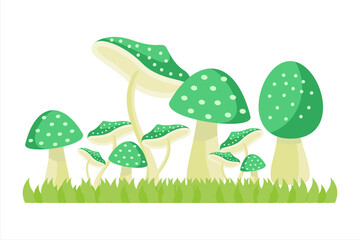 Set of mushrooms. Collection of different mushrooms. Mushrooms vector illustration