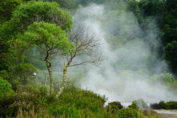 Obraz na płótnie Canvas Volcanic vapors in Furnas Caldeiras, Sao Miguel, Azores, Portugal