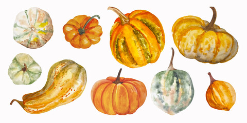 Watercolor autumn collection set of hand drawn pumpkins isolated on white background nine elements