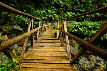 Wooden bridge in Grenà park, Furnas, Sao Miguel, Azores islands, Portugal