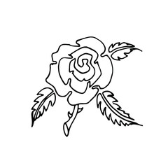 Hand drawn rose, line art. Vector doodle illustration