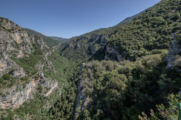 Fototapeta na wymiar View of the Lousios Gorge on the way to the Prodromos Monastery, located above the left bank of Lousios River at the base a high, vertical rock, Stemnitsa, Arcadia, Greece.