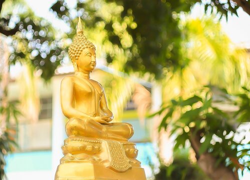 The Lord Buddha Statue color gold on white background.concept buddhist honly day and religious in Buddhism as ,Makhabucha,Visakhabucha and Asarnlahabucha day.selective focus.