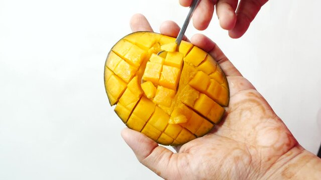  eating yellow ripe cut mango top view 