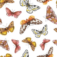 Watercolor butterflies and moths on a white background. Seamless background with floral vintage pattern, wallpaper. A hand-drawn illustration.