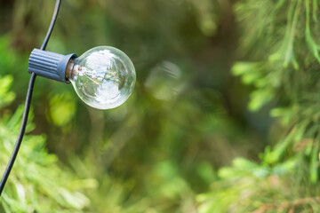 Electricity bulbs in the park.