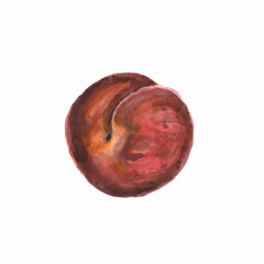 burgundy red orange fluffy peach nectarine watercolor painting
