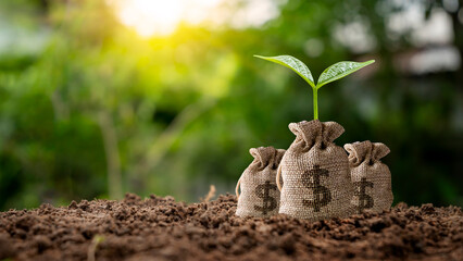 Tree growing on bag for savings and blurred green nature background.