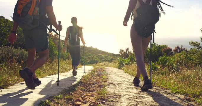 Rear view of diverse group hiking on a paved mountain trail on a bright sunny day outside. Fit young friends backpacking on rocky path in lush nature with walking sticks enjoying a scenic adventure