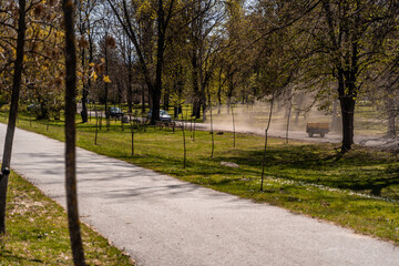 Green summer public park with tree branch, beautiful green lawns