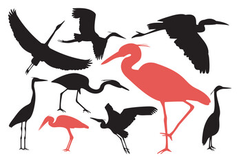 Group of Heron silhouette set. Vector illustration